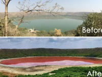 Maharashtra Lonar Lake: रातोंरात Maharashtra के Lonar Lake का पानी कैसे हो गया लाल ?