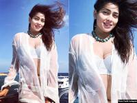 टॉलीवुड सिनेमा - | Tollywood Cinema | Latest bollywood Photos at Lokmatnews.in