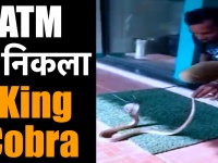 तमिलनाडु में एक एटीएम से निकला किंग कोबरा सांप, घंटों की मशक्कत के बाद ऐसे निकाला बाहर