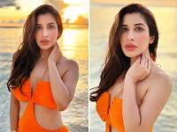 सोफी चौधरी - | Sophie Choudry | Latest bollywood Photos at Lokmatnews.in