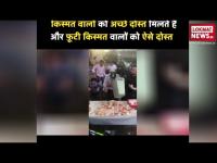 Wild Birthday Celebration : ऐसा ख़तरनाक Birthday Celebration देखा है कभी ?