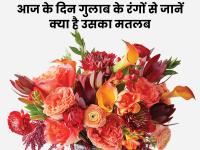 Rose Day Special: रोज डे पर प्रपोज करना पड़ सकता है भारी, जानें किस रंग के गुलाब का क्या होता है मतलब - | rose day special things to know types of rose color to use which rose for love color images in hindi | Latest relationships Photos at Lokmatnews.in