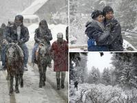 भारी बर्फबारी के बाद सफेद चादर से ढका कश्मीर, खूबसूरत नजारे दिन बना देंगे | Heavy snowfall in Kashmir, see beautiful pics | Latest travel Photos at Lokmatnews.in