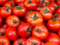 Tomato Price Increase: टमाटर महंगाई से 'लाल', चेन्नई में 62, कोलकाता में 77, मुंबई में 74, जानें दिल्ली सहित अन्य शहर का हाल - | Tomato Price Increase 'red' inflation 62 in Chennai, 77 in Kolkata, 74 in Mumbai, Delhi 30 see other city list | Latest business Photos at Lokmatnews.in