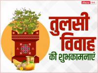 Tulsi Vivah 2022 Wishes: अपने दोस्तों और रिश्तेदारों को भेजें तुलसी विवाह की शुभकामनाएं - | Tulsi Vivah 2022 Wishes images quotes WhatsApp messages sms in hindi | Latest spirituality Photos at Lokmatnews.in