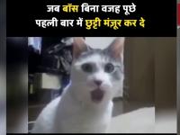 जब एक बार में ही बॉस आपकी छुट्टी Approve कर दे, तब आपका Reaction