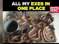 जब आपकी सारी Ex-Girlfriends एक जगह इकट्ठा हो जाएँ 