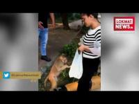 सपना चौधरी का जानवरों से लगाव देखने काबिल है