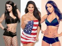 ये हैं दुनिया की सबसे खूबसूरत WWE महिला रेसलर, देखें तस्वीरें - | top 10 hottest WWE beauties they will drive you crazy, view sizzling pics photos hd images | Latest hot-sexy Photos at Lokmatnews.in