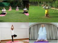 International yoga Day: तस्वीरों में देखिए जेपी नड्डा से लेकर केजरीवाल तक भारतीय नेताओं ने कैसे किया योग - | International yoga Day 2020: ramnath kovind, arvind kejriwal, indian leders performs yoga, see photos | Latest india Photos at Lokmatnews.in