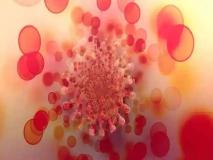 Omicron Alert: महाराष्ट्र, दिल्ली के बाद केरल में बढ़ रहे केस, 19 नए मामले, कुल पॉजिटिव बढ़कर 57