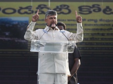 Andhra Pradesh Assembly elections: आंध्र प्रदेश पहुंचे 2000 एनआरआई, चंद्रबाबू नायडू के लिए करेंगे प्रचार, जानें कार्यक्रम