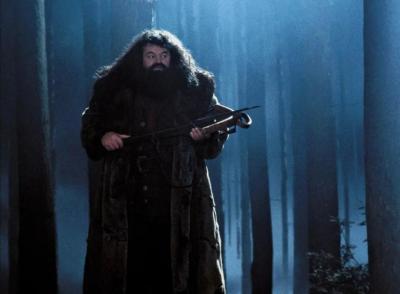 Robbie Coltrane dead | robbie-coltrane-dead | Latest hollywood Photos at Lokmatnews.in Robbie Coltrane dead | robbie-coltrane-dead | Latest hollywood Photos at Lokmatnews.in