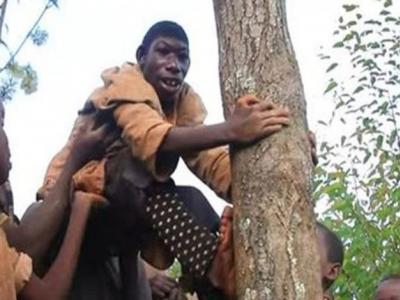 एली घर का खाना नहीं खाता। वह जंगली फल खाना ही पसंद करता है। एली घर का खाना नहीं खाता। वह जंगली फल खाना ही पसंद करता है।