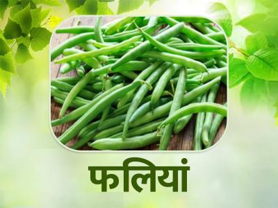 protein rich food in hindi | protein-rich-food-in-hindi | Latest health Photos at Lokmatnews.in protein rich food in hindi | protein-rich-food-in-hindi | Latest health Photos at Lokmatnews.in