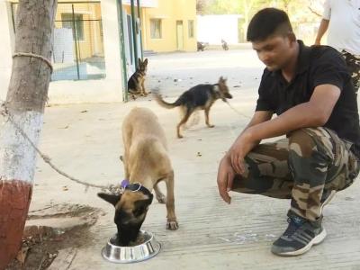 फोटो क्रेडिट: ANI