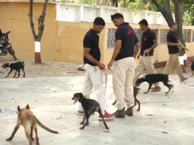 फोटो क्रेडिट: ANI