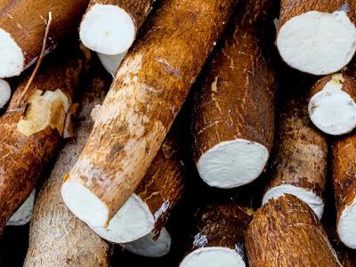 कसावा की सब्जी