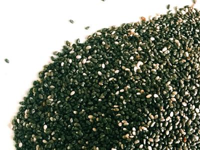 vegetarian sources of protein | vegetarian-sources-of-protein | Latest health Photos at Lokmatnews.in vegetarian sources of protein | vegetarian-sources-of-protein | Latest health Photos at Lokmatnews.in