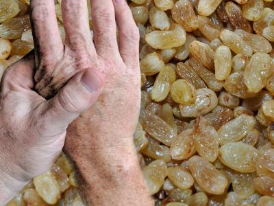 benefits of raisins soaked in water | benefits-of-raisins-soaked-in-water | Latest health Photos at Lokmatnews.in