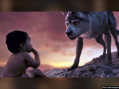 Mowgli (film) | mowgli-trailer-pics | Latest hollywood Photos at Lokmatnews.in