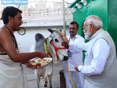 LS polls 2024: पुजारियों ने पीएम मोदी के मस्तक पर तिलक लगाया, गौ माता को प्रणाम, देखें तस्वीरें