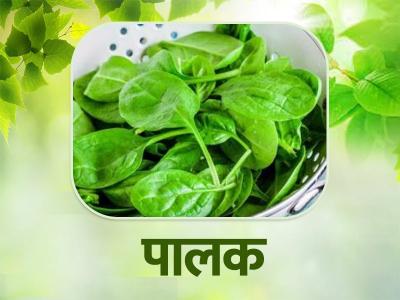 anemia symptoms in women | anemia-symptoms-in-women | Latest health Photos at Lokmatnews.in anemia symptoms in women | anemia-symptoms-in-women | Latest health Photos at Lokmatnews.in