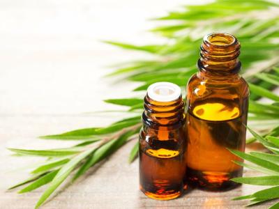 पिंपल्स को दूर करने में टी ट्री ऑयल काफी फायदेमंद होता है पिंपल्स को दूर करने में टी ट्री ऑयल काफी फायदेमंद होता है