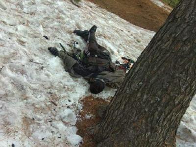 शोपियां में मुठभेड़ शोपियां में मुठभेड़