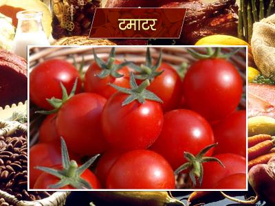 chennai Tomato Price | chennai-tomato-price | Latest business Photos at Lokmatnews.in chennai Tomato Price | chennai-tomato-price | Latest business Photos at Lokmatnews.in