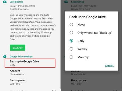 whatsapp chat backup