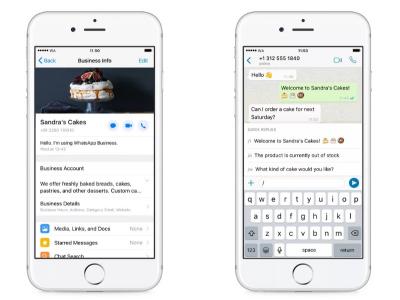 WhatsApp Business App
