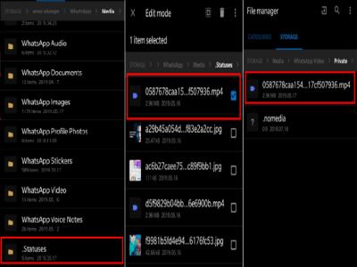 WhatsApp Status WhatsApp Status