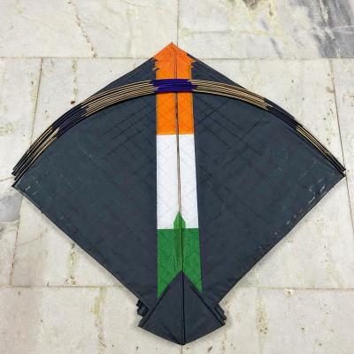 modi kites | modi-kites | Latest india Photos at Lokmatnews.in modi kites | modi-kites | Latest india Photos at Lokmatnews.in