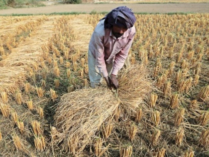 400 farmers Gujarat HC regarding crop insurance, notice sent to Rupani government | फसल बीमा को लेकर 400 से अधिक किसान पहुंचे गुजरात HC, रूपाणी सरकार को भेजा नोटिस  