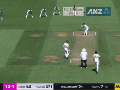 KANE WILLIAMSON RUN OUT TEST CRICKET 12 YEARS first test day 2 live score updates | New Zealand vs Australia: विल यंग से टकरा गए केन विलियमसन, 12 साल बाद ऐसे हुए आउट, देखें वीडियो