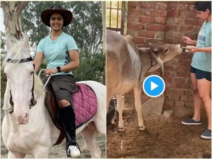 Manu Bhaker takes to driving tractors, riding horses and painting | Video: निशानेबाज मनु भाकर चला रहीं ट्रैक्टर, कोरोना के बीच घुसवारी का उठाया जमकर लुत्फ