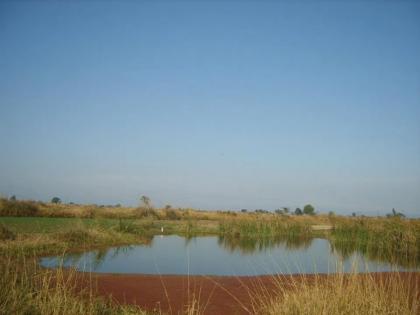 World Wetlands Day 2021:The condition of Wetlands in Jammu and Kashmir is very poor | World Wetlands Day 2021:जम्मू कश्मीर में वेटलैंड्स की दशा खराब, कोई नहीं सुन रहा पुकार World Wetlands Day 2021:The condition of Wetlands in Jammu and Kashmir is very poor | World Wetlands Day 2021:जम्मू कश्मीर में वेटलैंड्स की दशा खराब, कोई नहीं सुन रहा पुकार