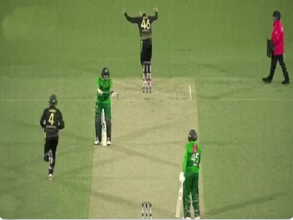 Australia vs Pakistan, 2nd T20I: Babar Azam loses his cool after asif ali throws his wicket | PAK vs AUS: बीच मैदान साथी खिलाड़ी पर भड़के पाकिस्तानी कप्तान बाबर आजम, वीडियो वायरल
