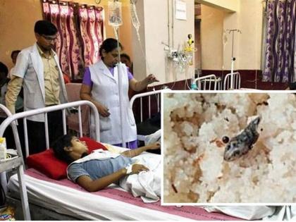 dead snake found in meal 50 students of karnataka school fall ill | कर्नाटकः स्कूल के खाने में मिला सांप का मरा हुआ बच्चा, 50 छात्र हुए बीमार