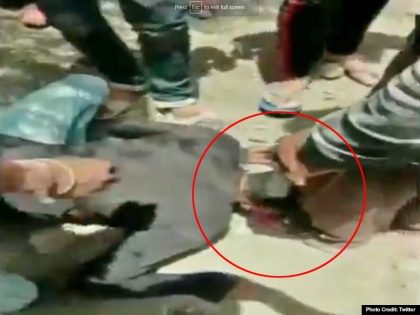 video: Man forced to rub nose on shoes in Mandsaur Madhya Pradesh | वीडियो: मध्य प्रदेश में पिटाई के बाद जूते पर रगड़वाई नाक, घटना के बाद से गायब है पीड़ित
