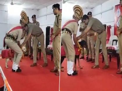 10 sniffer dogs honored grand stage how MP police bid farewell dogs retirement ceremony | Video: स्टेज पर सम्मान, 10 खोजी कुत्ते को सलाम!, सेवानिवृत्ति समारोह में एमपी पुलिस ने ऐसे दी विदाई 10 sniffer dogs honored grand stage how MP police bid farewell dogs retirement ceremony | Video: स्टेज पर सम्मान, 10 खोजी कुत्ते को सलाम!, सेवानिवृत्ति समारोह में एमपी पुलिस ने ऐसे दी विदाई