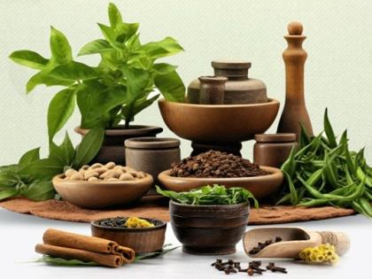 Ayurveda 10th edition Ayurveda Day celebrated 23 September Solution all disorders lifestyle improvement harmony nature possible through blog Yogesh Kumar Goyal | आयुर्वेद से संभव है सभी विकारों का समाधान, जीवनशैली सुधार और प्रकृति के साथ सामंजस्य Ayurveda 10th edition Ayurveda Day celebrated 23 September Solution all disorders lifestyle improvement harmony nature possible through blog Yogesh Kumar Goyal | आयुर्वेद से संभव है सभी विकारों का समाधान, जीवनशैली सुधार और प्रकृति के साथ सामंजस्य