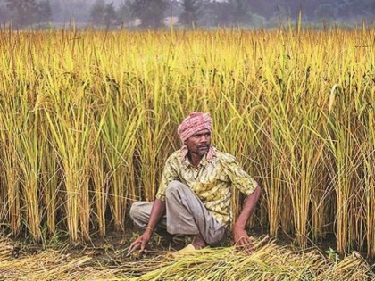 Jharkhand government will give bonus of Rs 185 per quintal for kharif crop | न्यूनतम समर्थन मूल्य के अलावा खरीफ की फसल के लिये 185 रुपये प्रति क्विंटल बोनस देगी राज्य सरकार