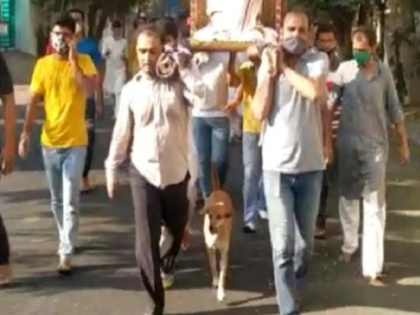 gujarat sadhvis dog walk around 5 km to for her funeral procession until she was cremated | गुजरात में जैन साध्वी की शव यात्रा में शामिल हुआ कुत्ता, 5 किमी चलकर पहुंचा श्मशान, ऐसे निभाई अपनी वफादारी
