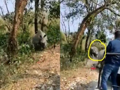 2 rhinos attacked vehicles going for safari Jaldapara National Park 7 tourists injured when jeep fell into ditch | जलदापारा नेशनल पार्क: सफारी के लिए गई गाड़ियों पर 2 गैंडों ने किया हमला, भागते समय जीप के खाई में गिरने से 7 पर्यटक हुए घायल, देखें वीडियो