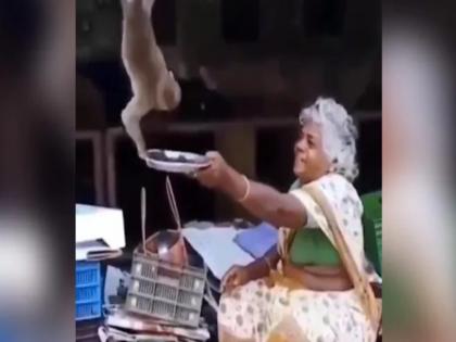 elderly woman give grapes to monkey people love to watch this viral video | महिला ने प्यार से बंदरों को खिलाया अंगूर, लोगों ने कहा - ये अमीर नहीं पर इनका दिल बहुत बड़ा, वीडियो वायरल