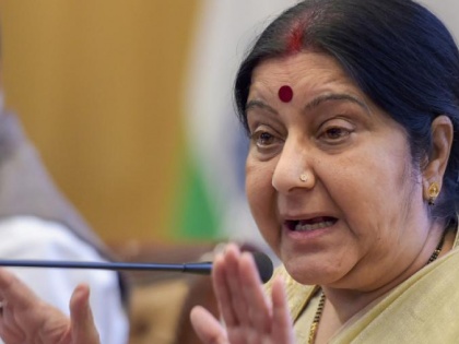 Sushma Swaraj targets opposition on air strike in balakot, says IAF went their not to conunt terrorist | सुषमा स्वराज ने हवाई हमलों को चुनावी मुद्दा बनाने के दिए संकेत, सबूत मांगने वालों पर साधा निशाना