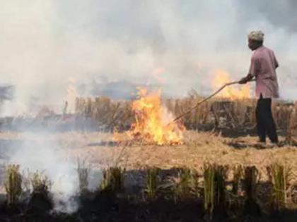 49 farmers burning stubble caught in satellite in Mathura, notice to eight | पराली जलाते 49 किसान मथुरा में सैटेलाइट से पकड़ में आए, आठ को नोटिस 49 farmers burning stubble caught in satellite in Mathura, notice to eight | पराली जलाते 49 किसान मथुरा में सैटेलाइट से पकड़ में आए, आठ को नोटिस