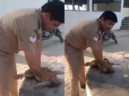 uttar pradesh heat wave red alert bulandshahr police monkey | Viral Video: बेहोश था बेजुबान, 1 घंटे बाद ऐसे लौटी जान, पुलिस वाले बोले, 'साहब को नमस्ते करो', देखें वीडियो uttar pradesh heat wave red alert bulandshahr police monkey | Viral Video: बेहोश था बेजुबान, 1 घंटे बाद ऐसे लौटी जान, पुलिस वाले बोले, 'साहब को नमस्ते करो', देखें वीडियो